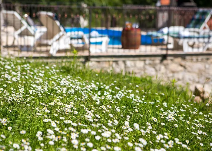 Sirotnjak By Interhome