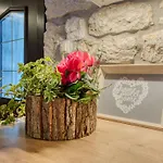 Sirotnjak By Interhome